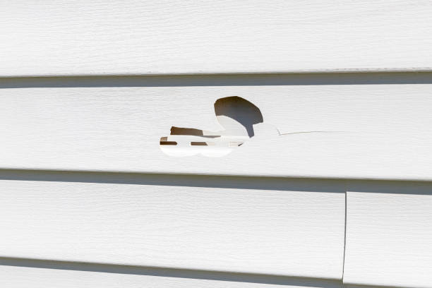 Best Siding for Commercial Buildings  in Clarksville, VA