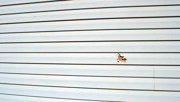 Siding for Commercial Buildings in Clarksville, VA